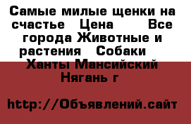 Самые милые щенки на счастье › Цена ­ 1 - Все города Животные и растения » Собаки   . Ханты-Мансийский,Нягань г.